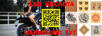 шишки Апшеронск