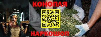 шишки Апшеронск