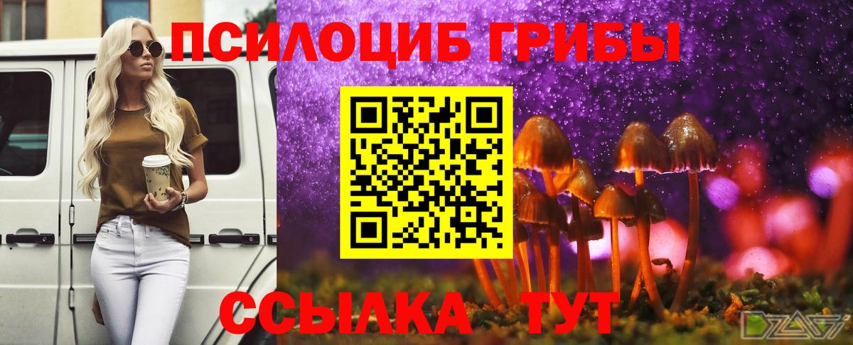 Галлюциногенные грибы GOLDEN TEACHER Балабаново